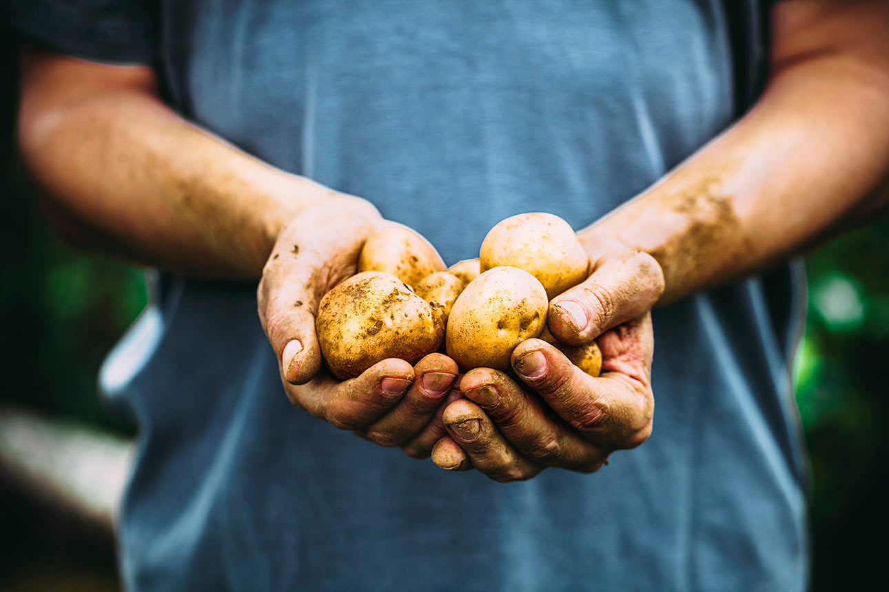 Que pasa con las patatas